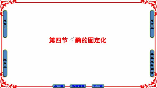 【中图版】高中生物选修一34《酶的固定化》PPT课件