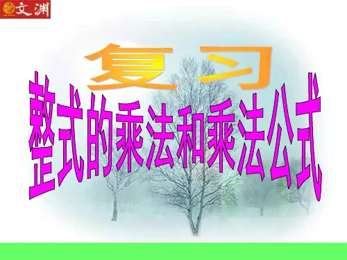 整式的乘法和乘法公式_复习课课件