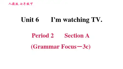 人教版七年级下册英语课件 Period 2 Section A(Grammar Focus-3c)