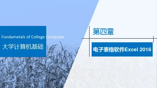 大学计算机基础 第4章  电子表格Excel2016