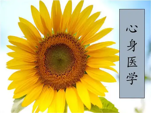 第八章 应激相关障碍