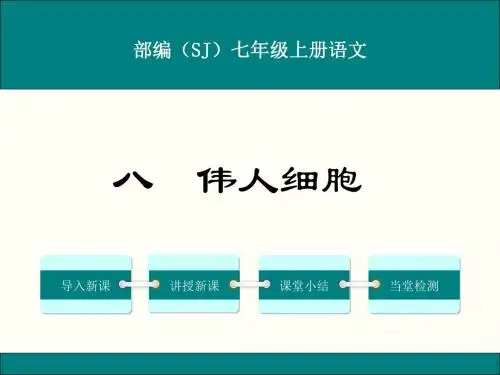 部编苏教版七年级语文上册《伟人细胞》优秀课件