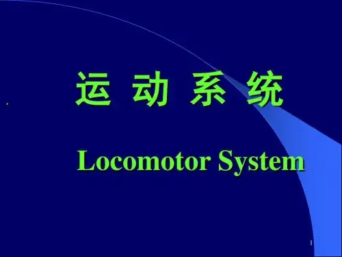 运动系统