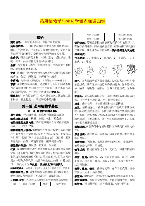 大学药用植物学重点知识归纳