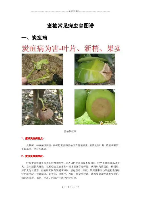 柚常见病虫害图谱及防治技术