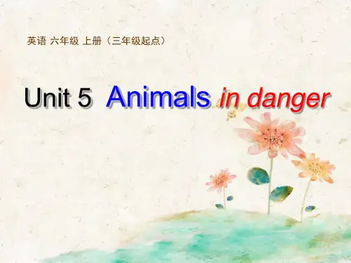 《Animals-in-danger》PPT课件