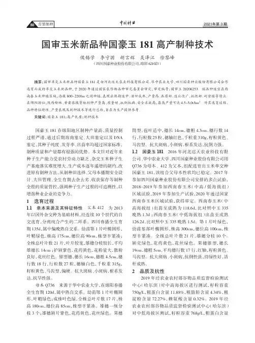 国审玉米新品种国豪玉181高产制种技术