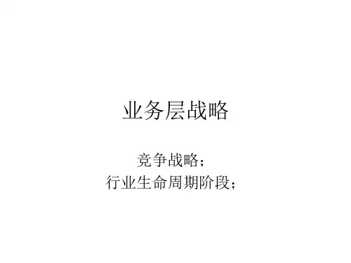 业务层战略