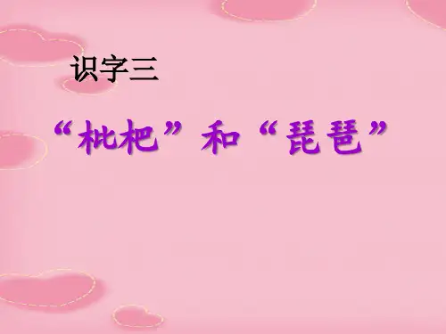 2021完整版《“枇杷”和“琵琶”》PPT课件2