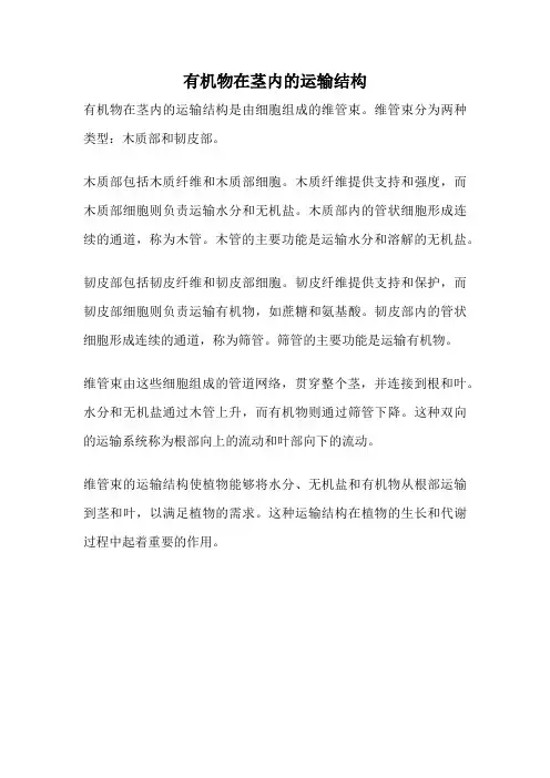 有机物在茎内的运输结构