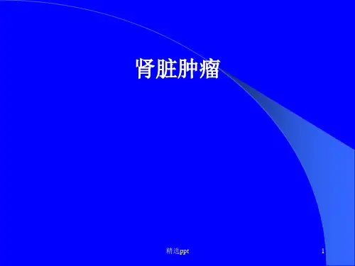 肾脏肿瘤PPT课件