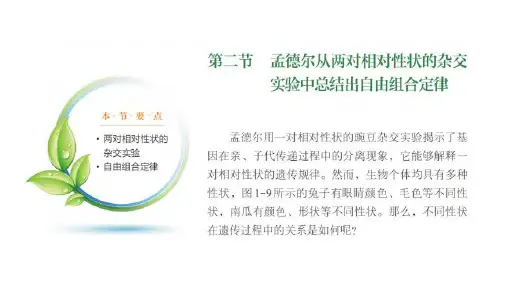 自由组合定律