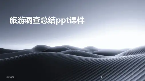 2024版旅游调查总结ppt课件