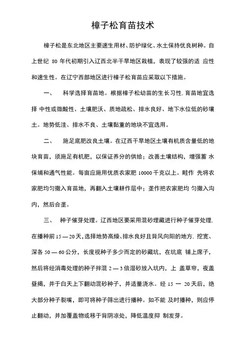 樟子松育苗技术