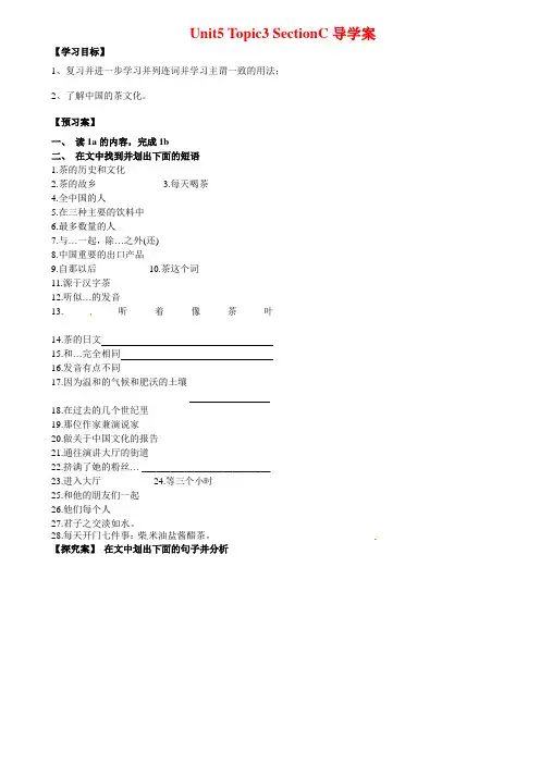 新仁爱版九年级英语下册Unit5 Topic3 SectionC导学案