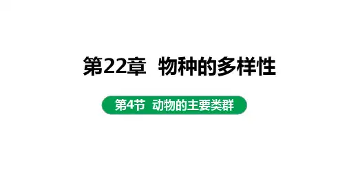 第四节动物的主要类群第三课时课件2022-2023学年北师大版生物八年级下册
