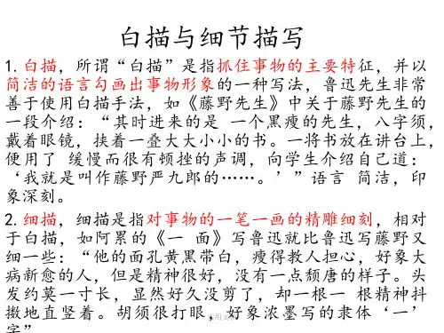 白描与细节描写 例子丰富 实用性强