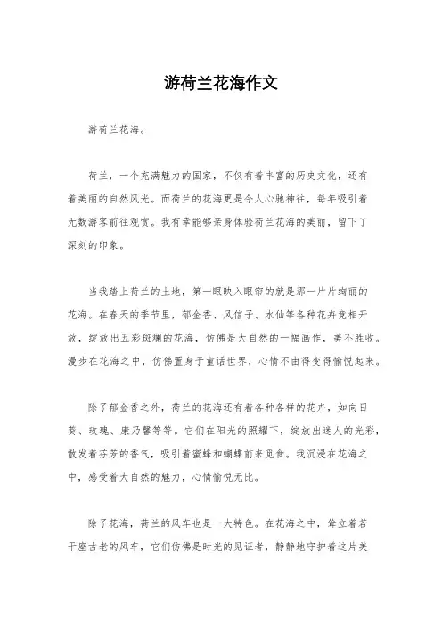 游荷兰花海作文
