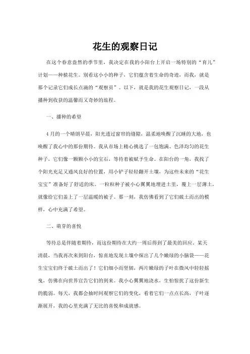 【日记】花生的观察日记