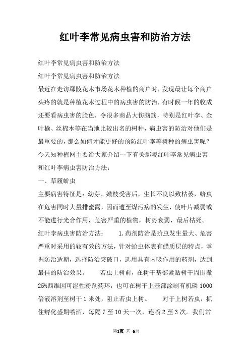 红叶李常见病虫害和防治方法