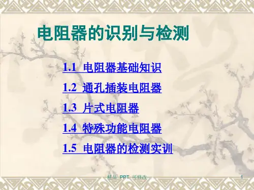 电阻的识别与检测(最新)