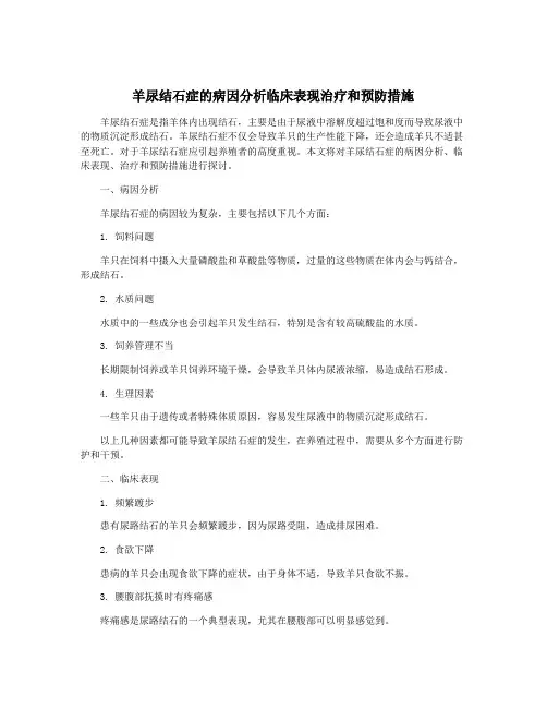 羊尿结石症的病因分析临床表现治疗和预防措施
