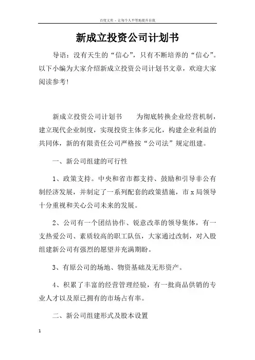 新成立投资公司计划书