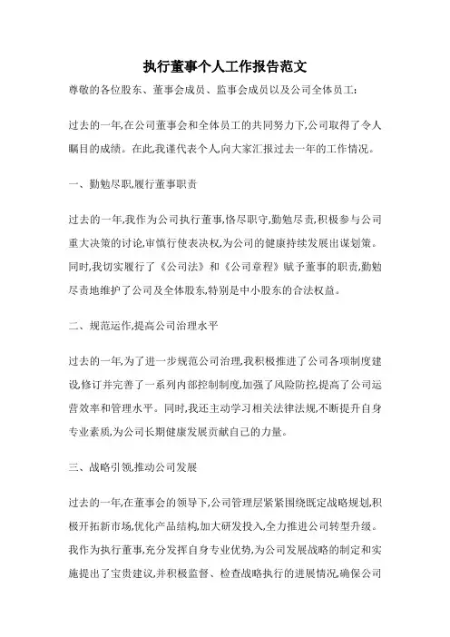 执行董事个人工作报告范文