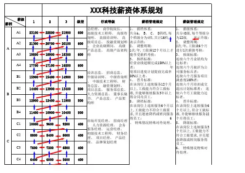 某科技公司薪资体系