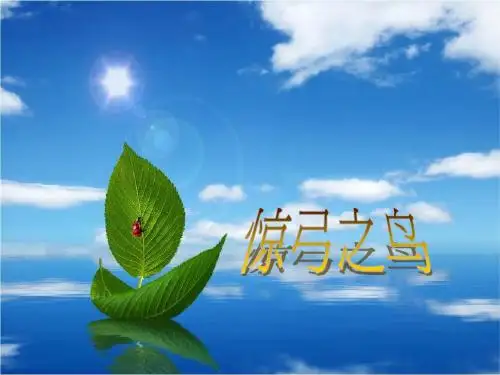 惊弓之鸟 PPT