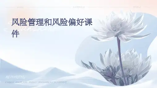 风险管理和风险偏好课件