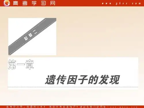 2011年高考生物一轮复习同步课件必修2：第1章  第1节  孟德尔的豌豆杂交实验(一)