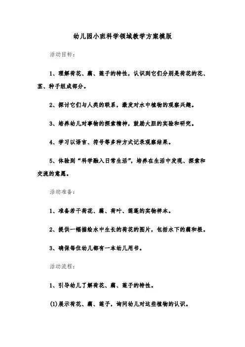 幼儿园小班科学领域教学方案模版（六篇）