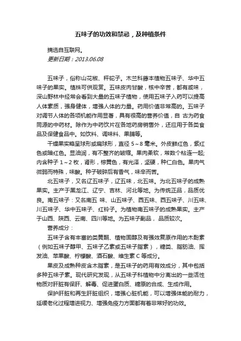 五味子的功效和禁忌，及种植条件