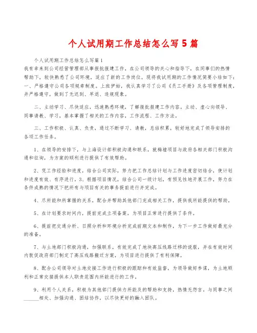 个人试用期工作总结怎么写5篇