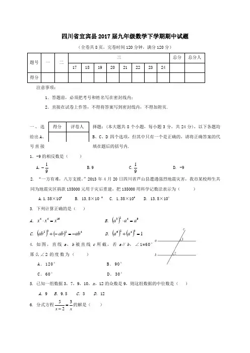 四川省宜宾县2017届九年级第二学期期中数学试卷