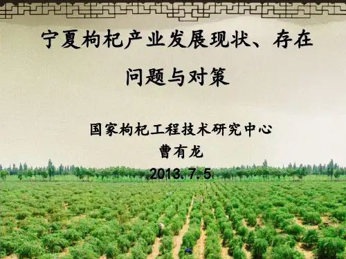宁夏枸杞产业发展现状存在问题及对策