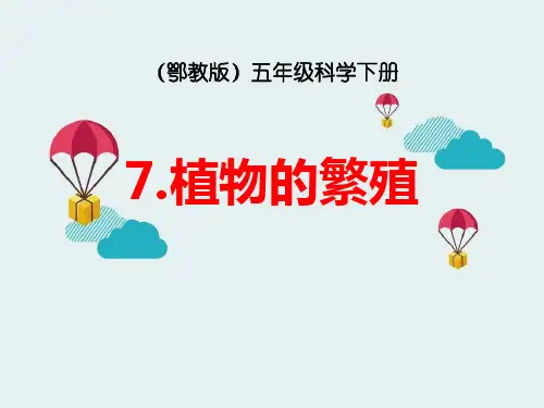 植物的繁殖-PPT课件【精美版】