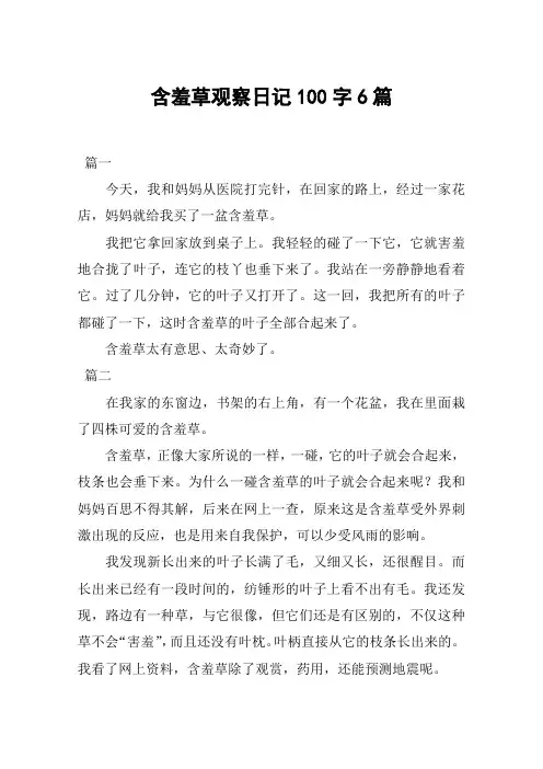 含羞草观察日记100字6篇