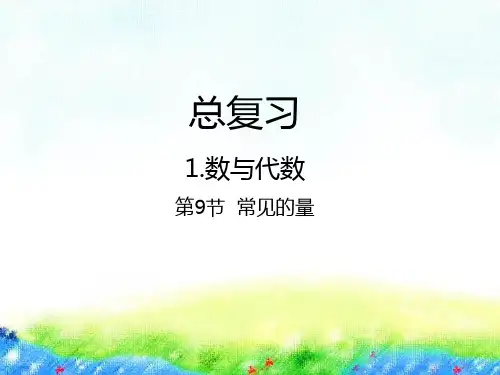 六年级下册数学课件-总复习 - 数与代数第9节  常见的量北师大版(2014秋) (共22张PPT)