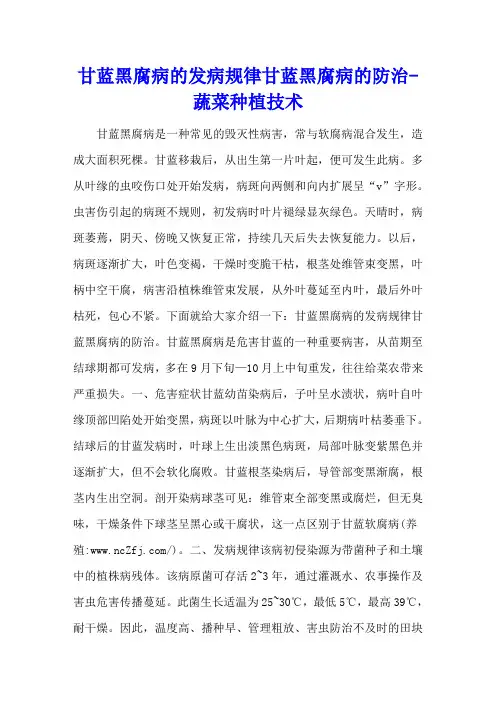 甘蓝黑腐病的发病规律 甘蓝黑腐病的防治 - 蔬菜种植技术