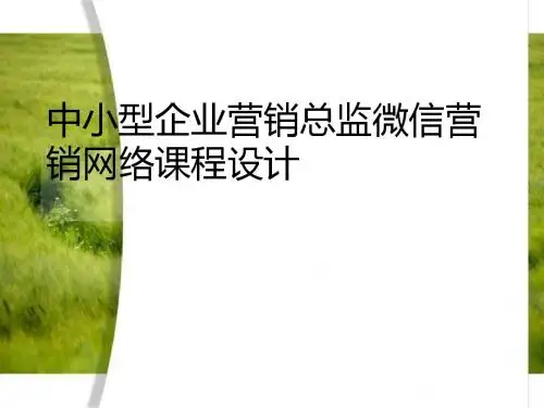 中小型企业营销总监微信营销网络课程设计(ppt29张)
