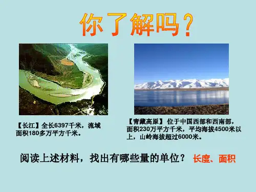 四年级上册数学课件-2.3 数与量(平方千米)▏沪教版 (共12张PPT)