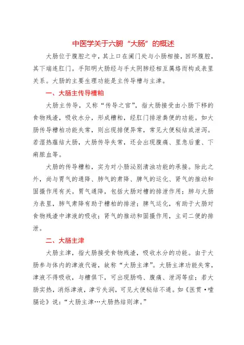 中医学关于六腑“大肠”的概述