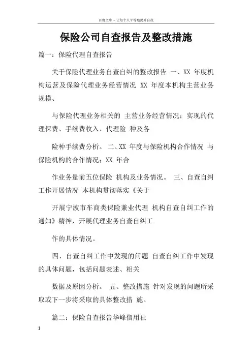 保险公司自查报告及整改措施
