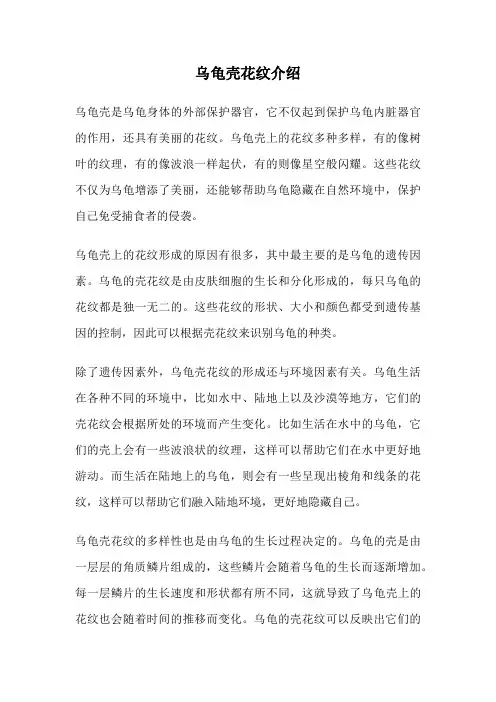 乌龟壳花纹介绍