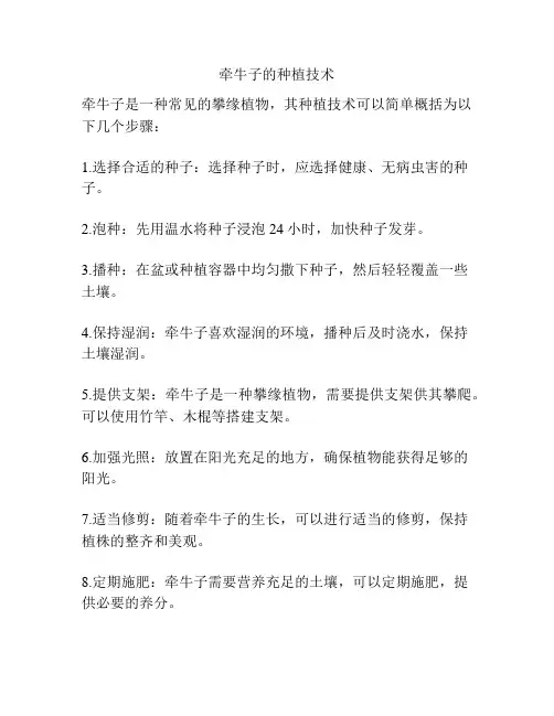 牵牛子的种植技术