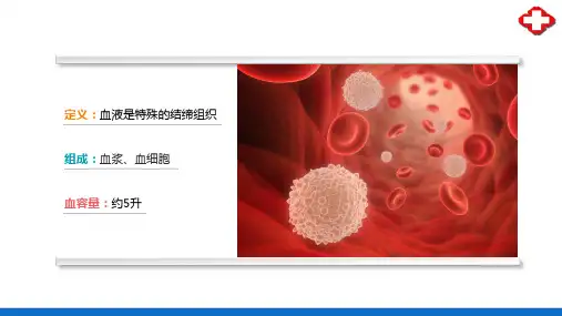 血液—血液的组成(正常人体结构课件)
