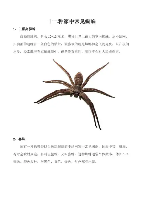 家里常见蜘蛛种类图片及名称