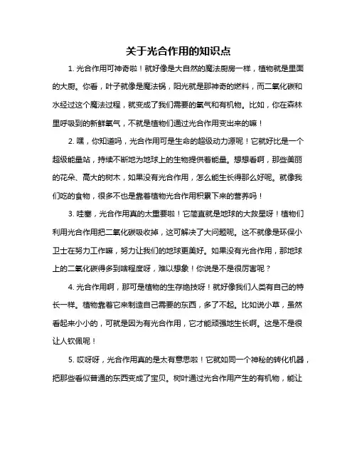 关于光合作用的知识点